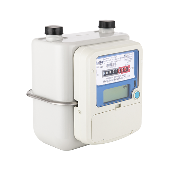 China OEM Diaphragm Gas Meter Factory –WG-N NB-IoT Wireless Smart Gas Meter – Holley detail pictures